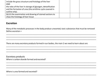 5.1.2 Excretion - Liver and Kidney of OCR A level Biology