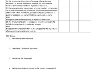 5.1.3 Neuronal Communication of OCR A level Biology