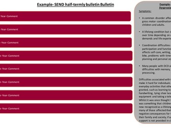 Special Educational Needs information bulletin