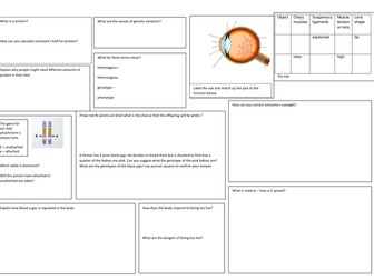 Biology B1 revision sheets