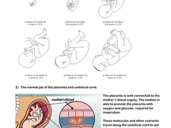 Effects of alcohol, drug and tobacco on foetal development leaflet task