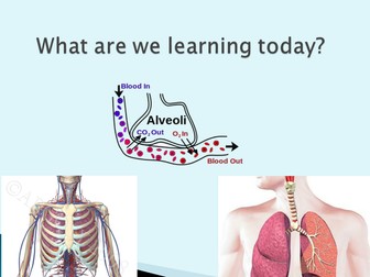 Edexcel GCSE PE 2016 (9-1) The Respiratory System