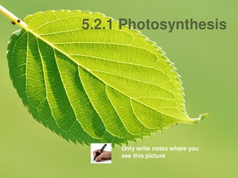 5.2.1 Photosynthesis of OCR A level Biology