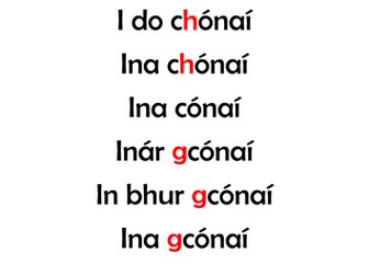 Gaeilge: Gramadach, An Aidiacht Shealbhach