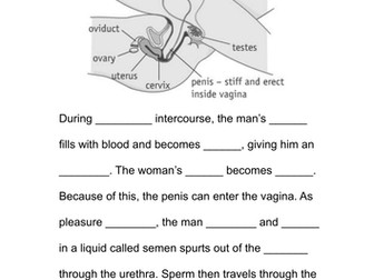 Differentiated Reproductive Organs and Sexual Intercourse Task