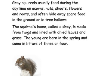 Woodland animal facts (for research)