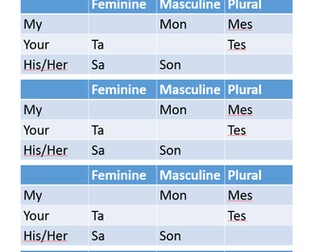 Y7 - French possessive pronouns