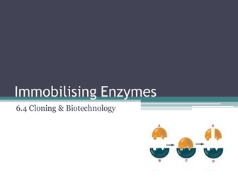 6.4 Cloning and Biotechnology Lesson 7 - Immobilised Enzymes - OCR A Level Biology