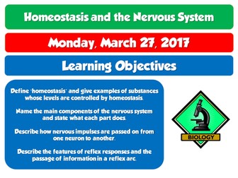AQA GCSE Biology 9-1 (2016) Homeostasis and the nervous system INDEPENDENT LEARNING