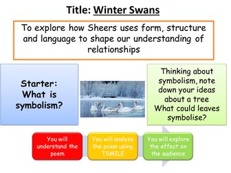 Winter Swans poetry lesson