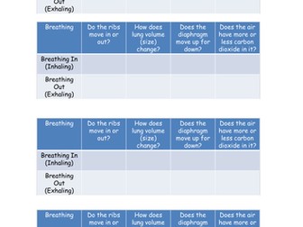 Lungs and Respiration