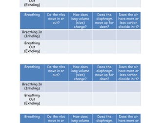 Lungs and Respiration