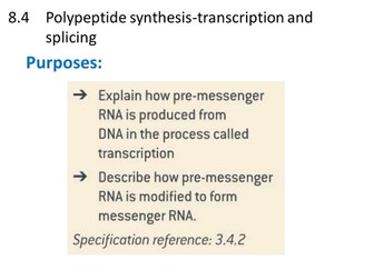 Transcription-New AQA spec