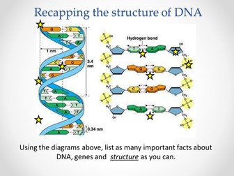AQA AS & A-level Biology (2016 specification). Section 4 Topic 8: DNA, Genes & Protein synthesis ...