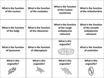 New Spec OCR Cell Structure Flashcards