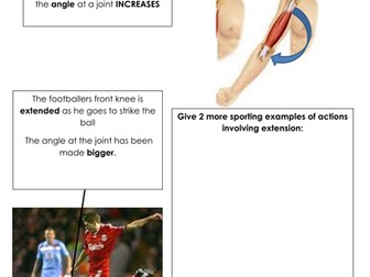 AQA GCSE PE (2016 specification) Anatomy & Physiology -The skeletal system