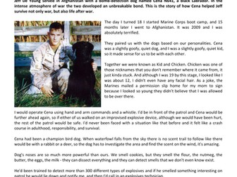 Functional Skills  Level 2 Reading Worksheet / Resource: A Marine And His Dog