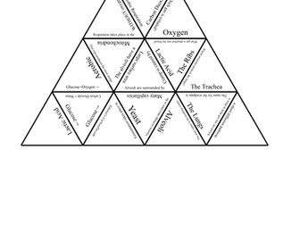 KS3 Respiration Tarsia