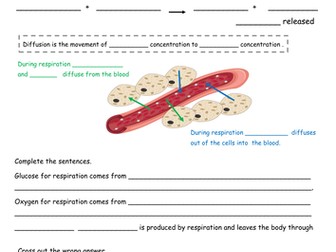 B2 Topic 2 - Organisms and Energy for Edexcel 2011