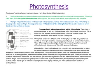 A Level Photosynthesis Revision