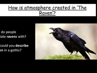 The Raven Lesson