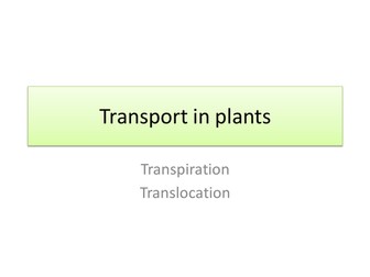 powerpoint presentation on transport in plants