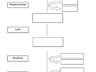 Glycolysis and Link Reaction Summary Sheet