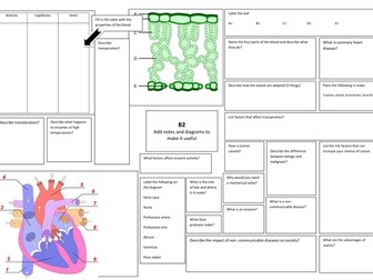aqa b2 revision broadsheet