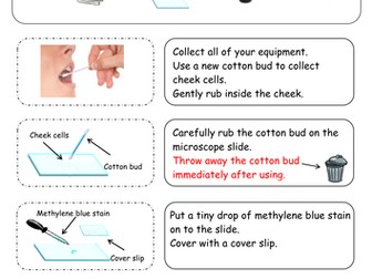 instructions for preparing animal and plant cell slides
