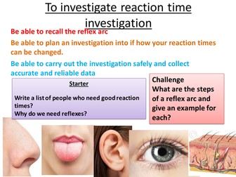 reaction time investigaion