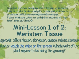 Meristems & Transport Systems