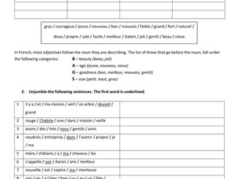Adjective Endings (French) - rules and practice