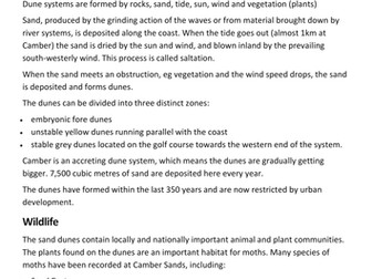 Camber Sands - Investigation on Human Acitivity and Sand Dunes