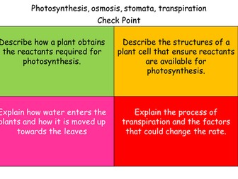 Differentiated Plant questions  confidence task