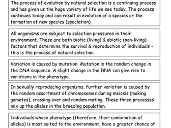 Evolution by natural selection card sort