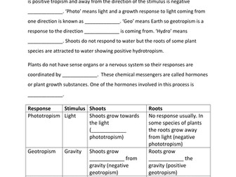 Chemical coordination in plants - 3 worksheets + starter - Tropisms & Plant 'hormones' iGCSE/GCSE
