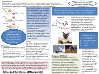 Genes and the control of gene expression