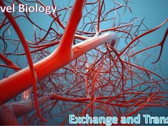 A Level Biology Transport Systems Summary