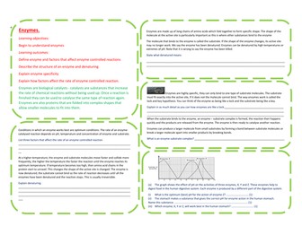 GCSE Biology / science Enzymes learning mat