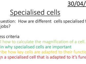 9-1 Edexcel Specialised Cells