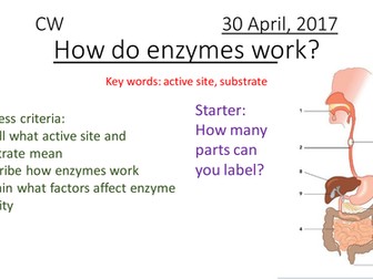 9-1 Enzymes and nutrition