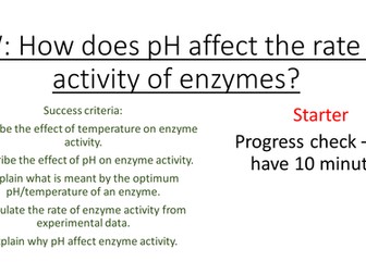 9-1 Enzyme Activity -pH