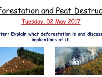 Deforestation and Peat Destruction