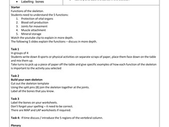 Edexcel NEW SPEC GCSE PE - Skeleton