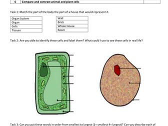 Y7 Cells Assessed Task NEW KS3