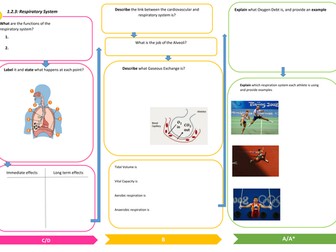 Respiratory System Revision Learning Mat
