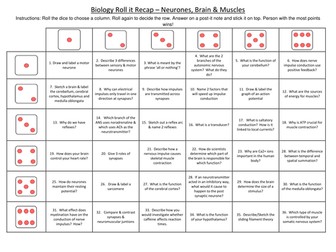 OCR A level Biology Neurone, Brain & Muscles revision activity