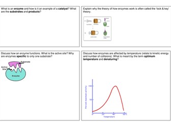 Enzymes: Student research template