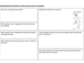Effect of pH on catalase