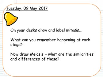 Mitosis and cell cycle